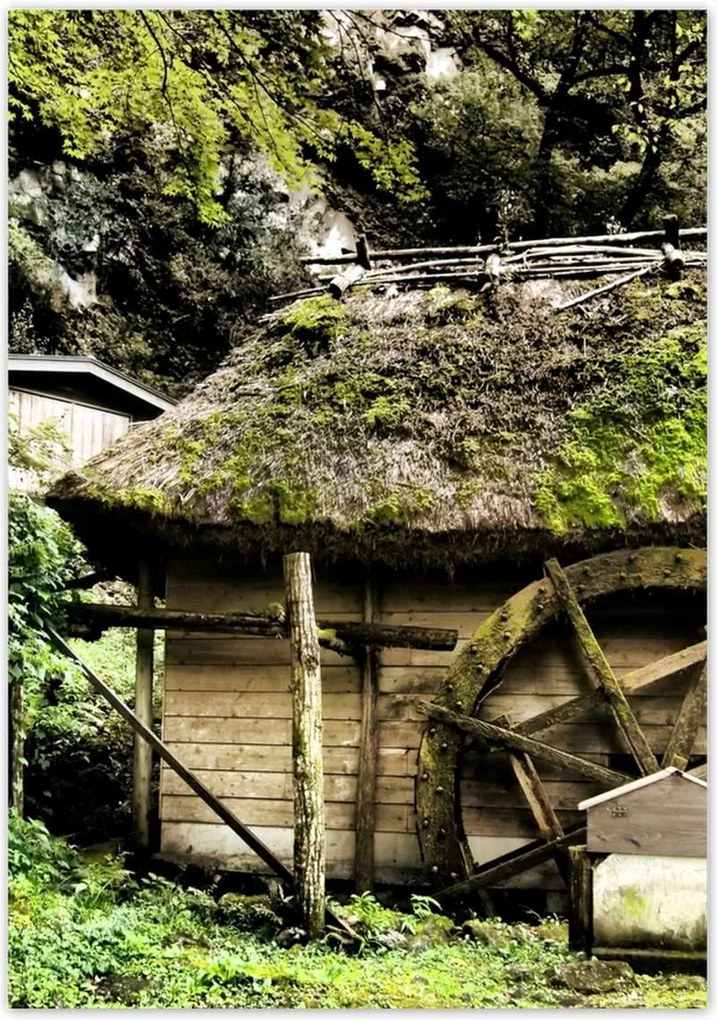 Poszterek 70x100 Vízimalom nádtetővel