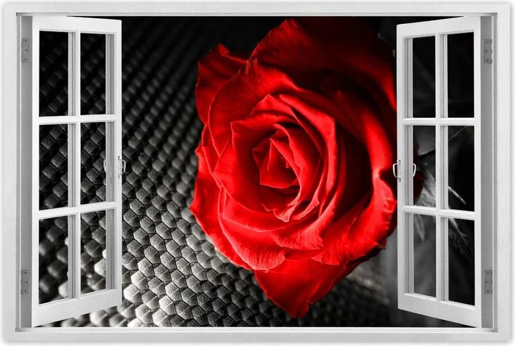 Poszterek 60x40 Piros a szürke között