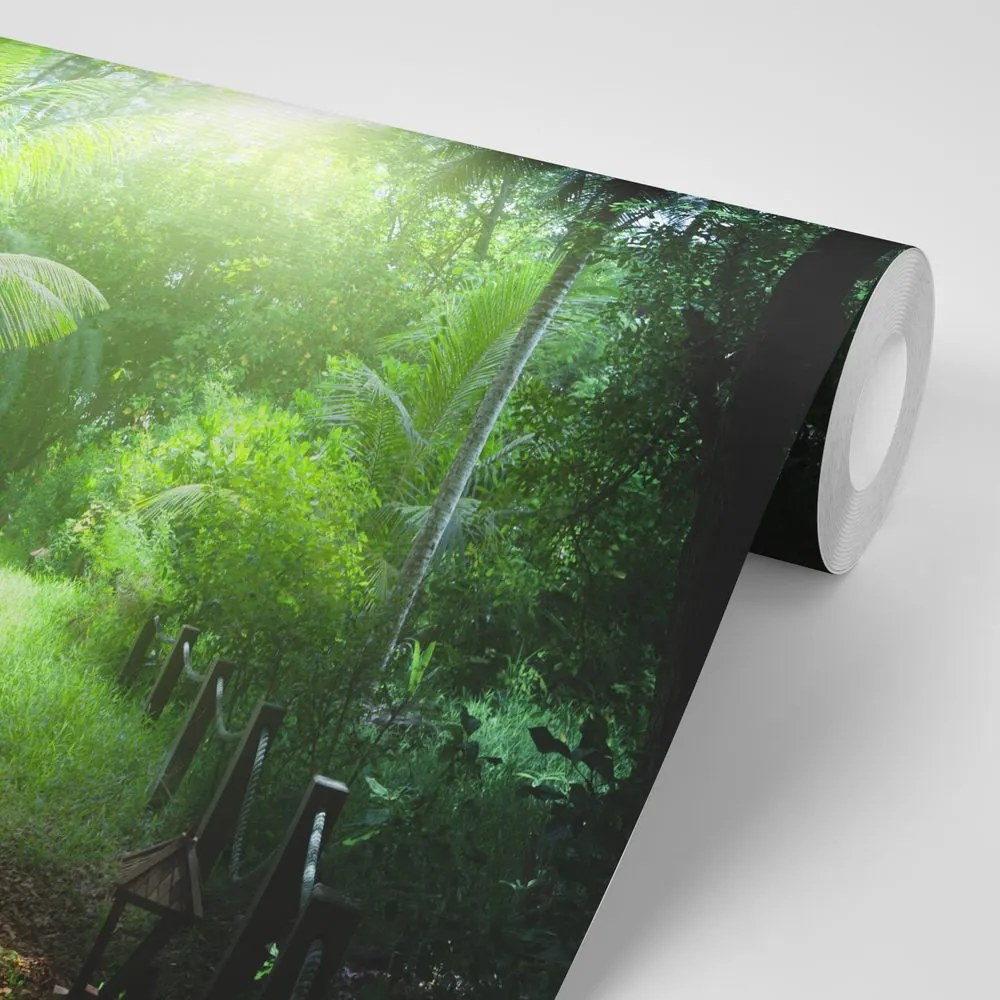 Fototapeta ösvény a Seychelle-szigeteken