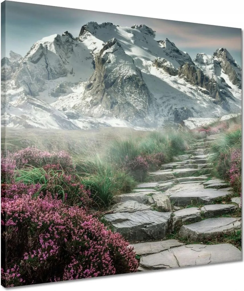 Vászonkép 50x50 Hegyi kilátás Tájkép Köd