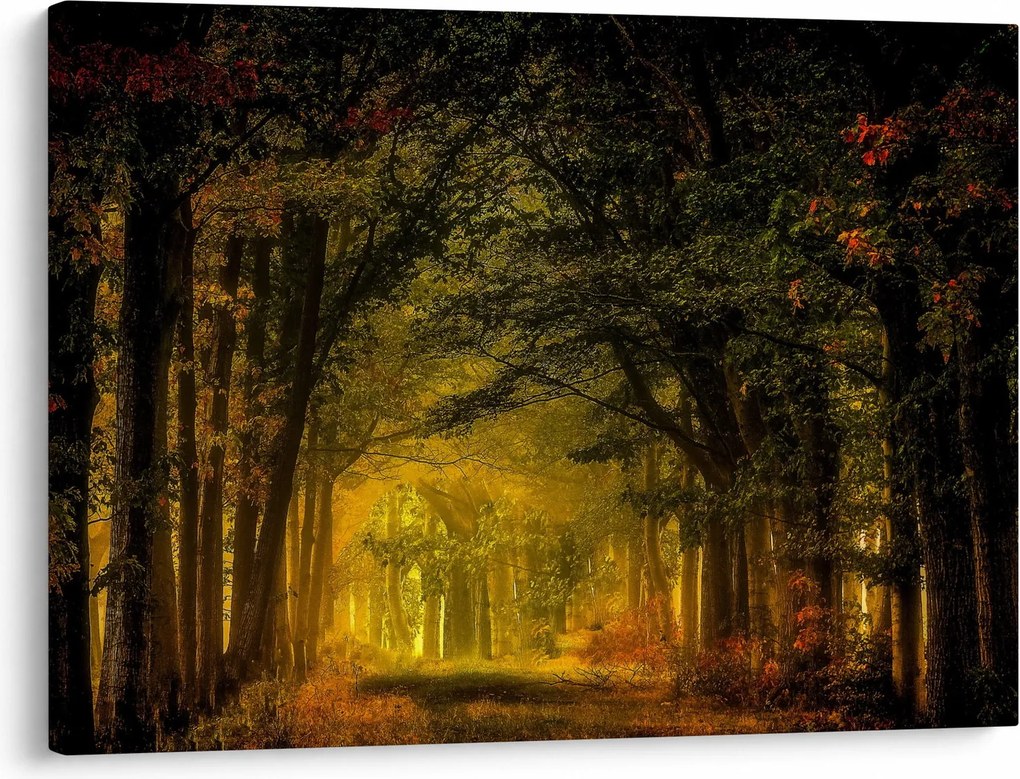 Erdő képe (70x50 cm)