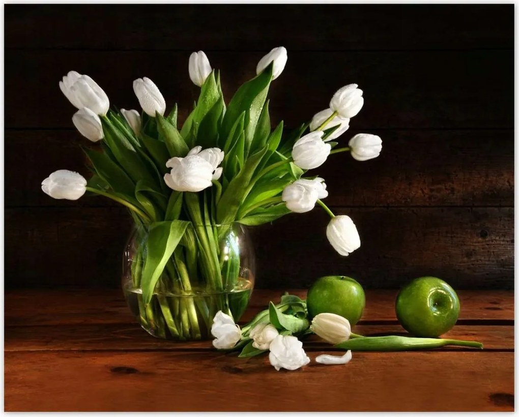 Poszterek 50x40 Fehér tulipánok Sötét háttér