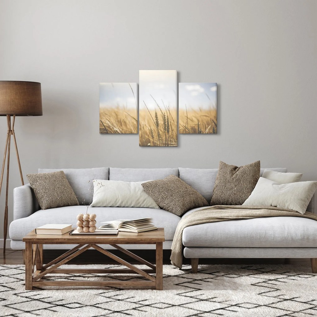 A gabona képe (90x60 cm)