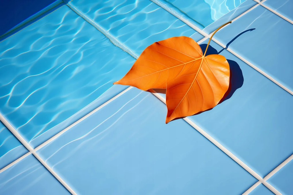 Poszter 30x20cm Levél a víz mellett