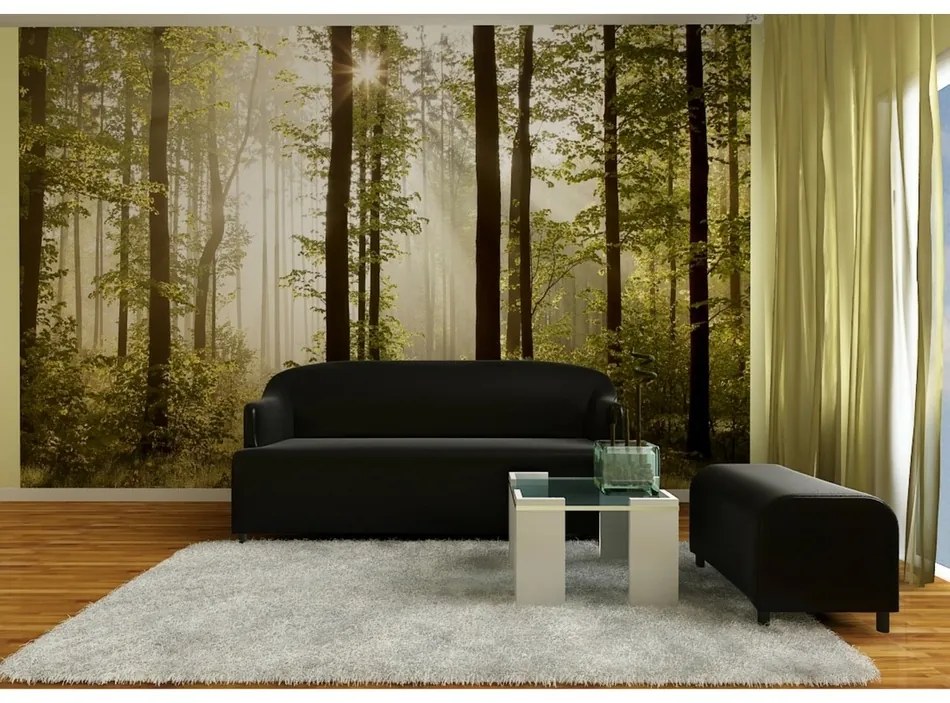 Reggeli erdő XXL fotó tapéta 360 x 270 cm, 4 részből álló