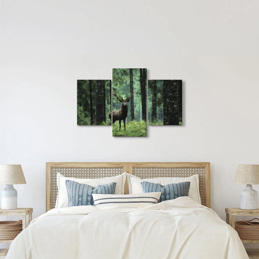 Kép - Szarvas egy mély erdőben (90x60 cm)