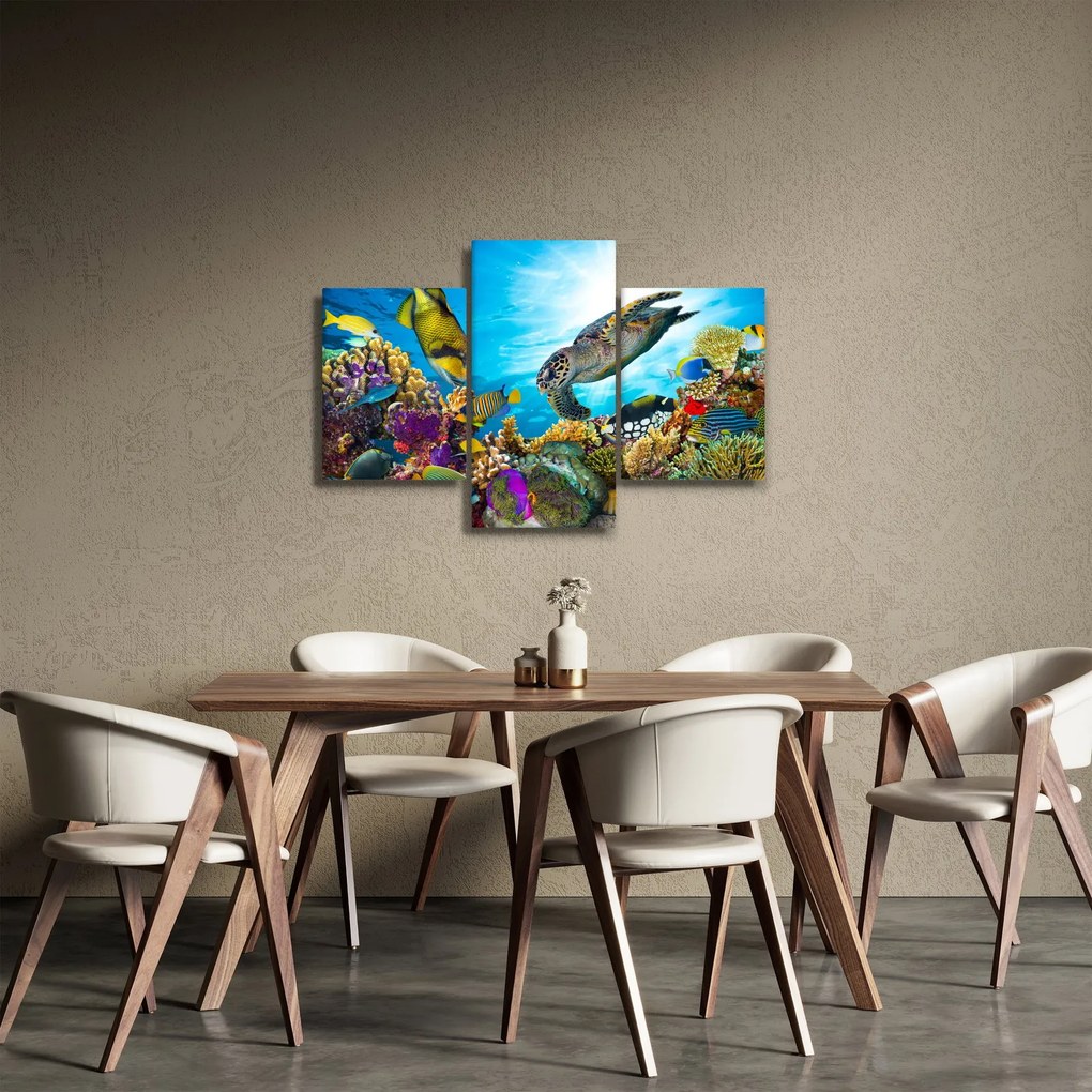 Egy korallzátony képe (90x60 cm)