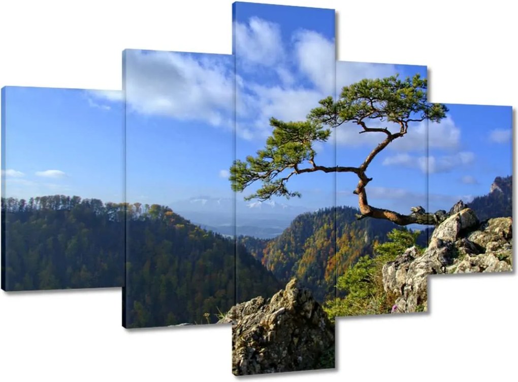 Festmények 100x70 Tájképek Kilátások Tájképek