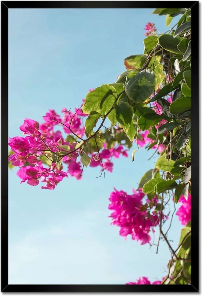 Poszterek keretben 40x60 Virágok