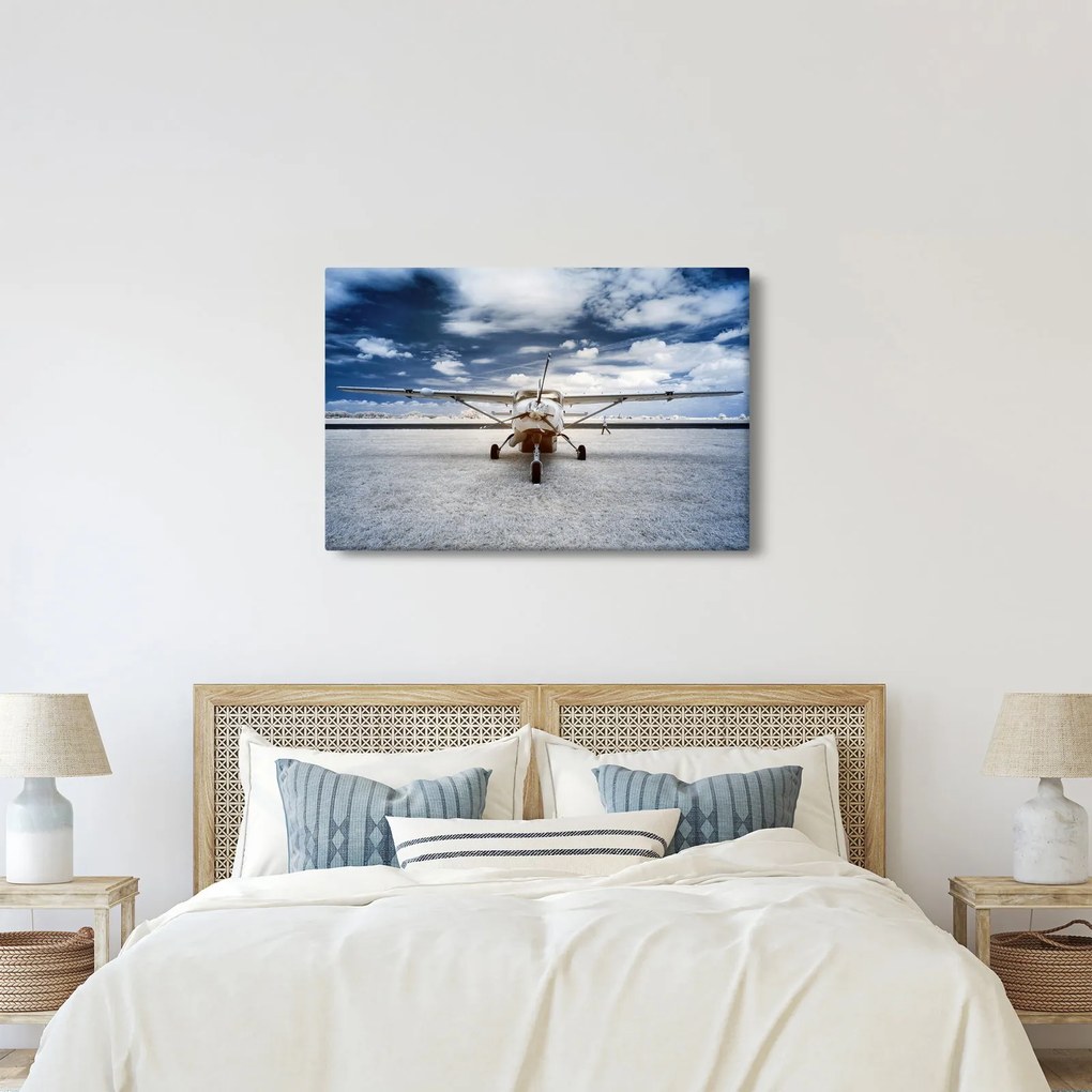 Egy motoros repülőgép képe (90x60 cm)