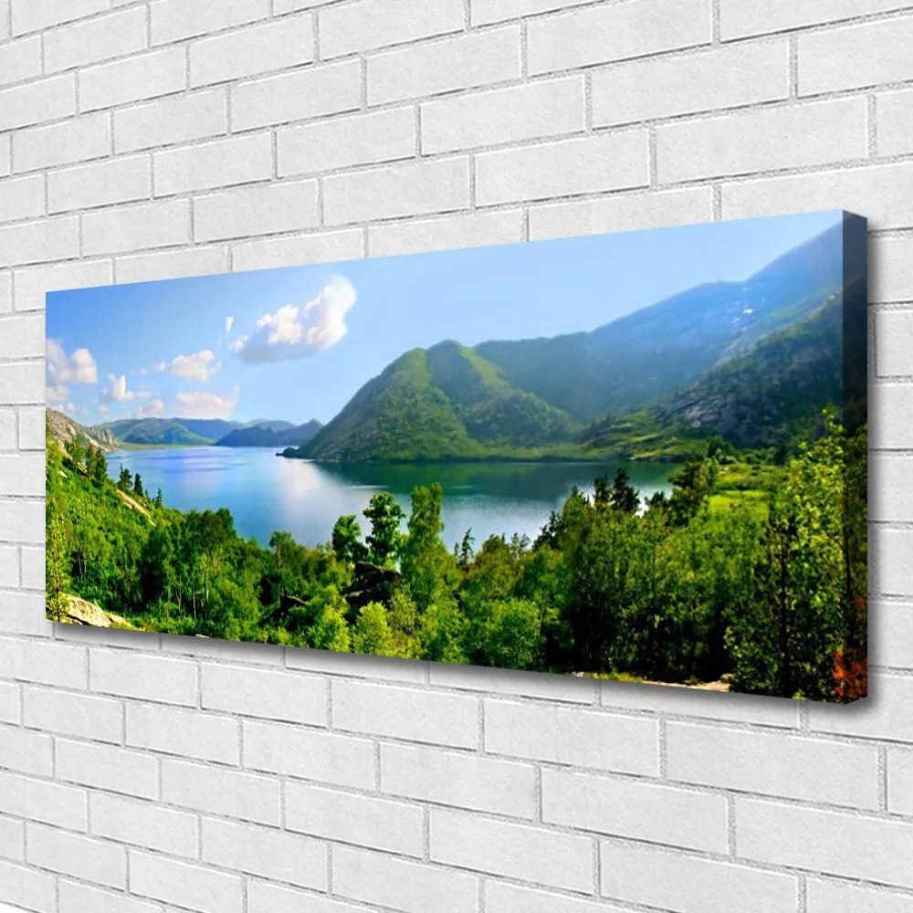Vászonkép falra Forest Lake hegyek táj 100x50 cm