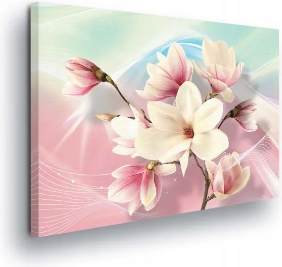 Vászonkép 100x75 Finomság magnólia tavasz pasztell virágok könnyedség frissesség