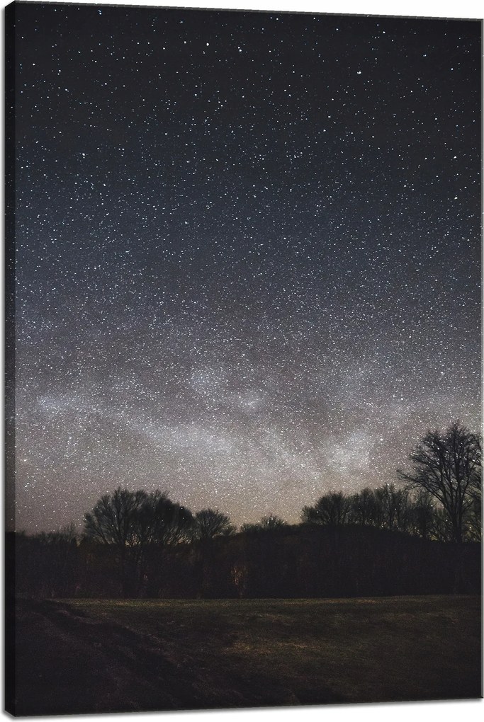 Vászonkép Kozmosz Csillagos égbolt 40x60