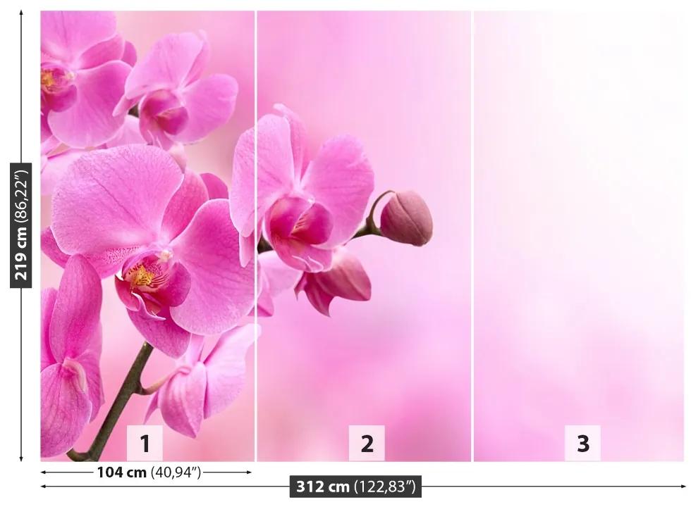 Fotótapéta rózsaszín orchidea 104x70 cm