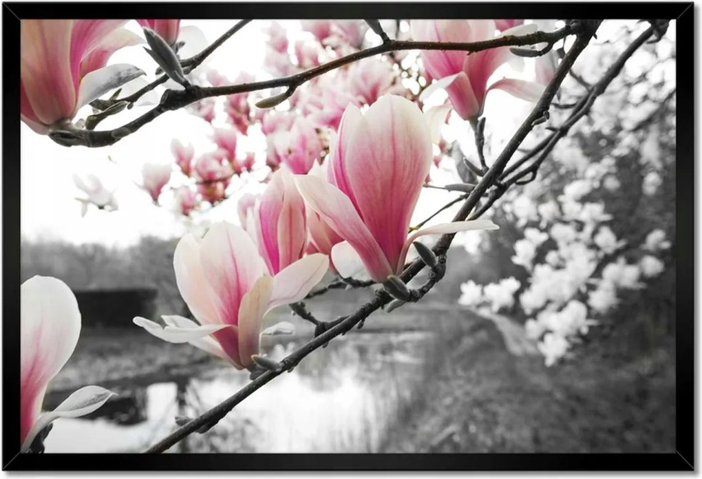 Poszter keretben 60x40 Magnólia Virágok