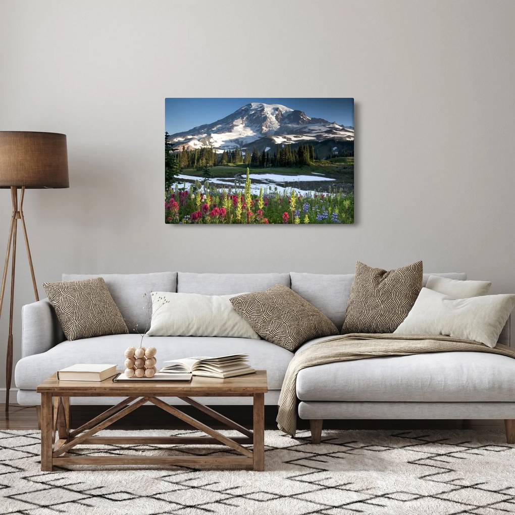 Kép - Mount Rainier (90x60 cm)