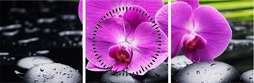 Kép - Orchideák (órával) (90x30 cm)
