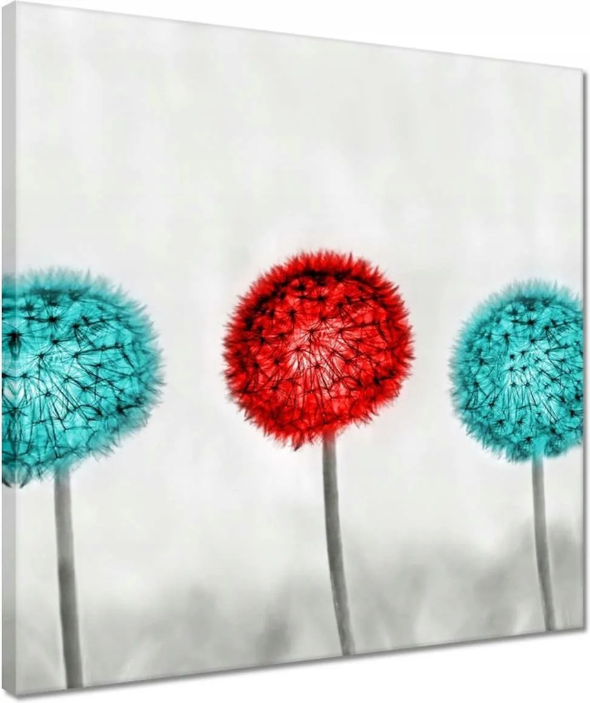 Vászonkép 40x40 Piros pitypang