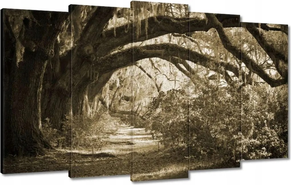 Vászonkép 100x60 Tölgyek a Szépia parkban