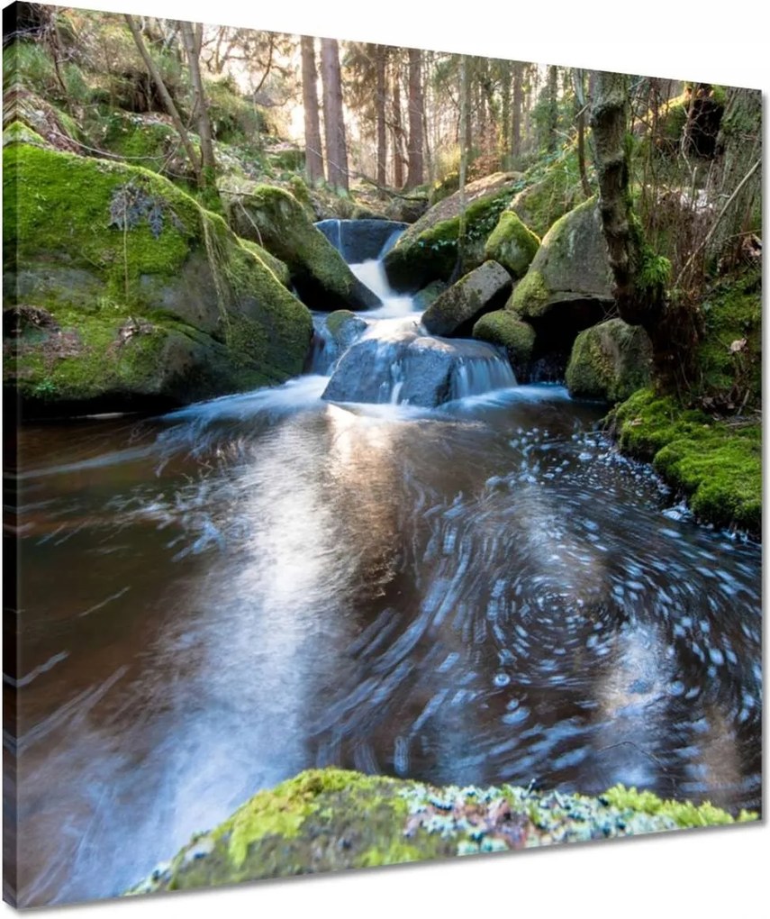 Vászonkép 50x50 Csendes folyószakasz