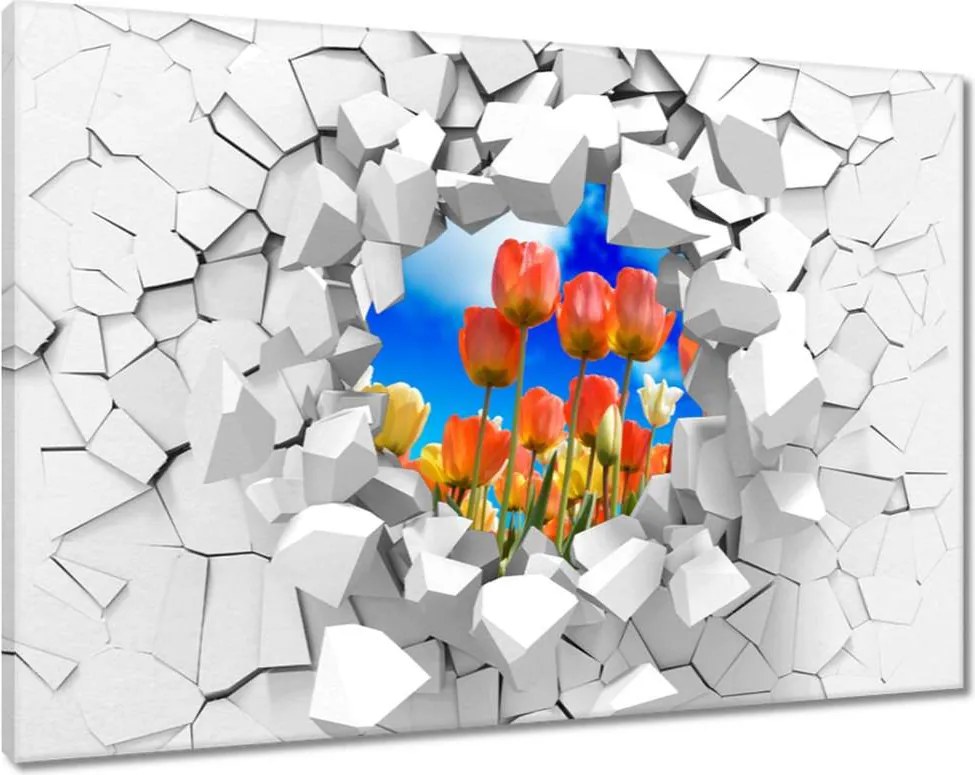 Vászonkép 60x40 Színes tulipánok