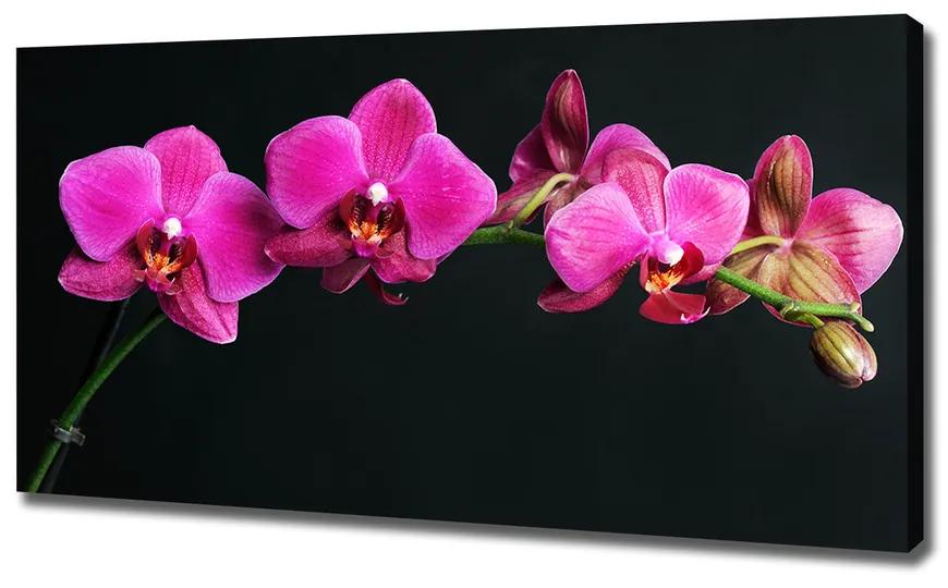 Egyedi vászonkép Orchidea pl-oc-120x60-f-64284743