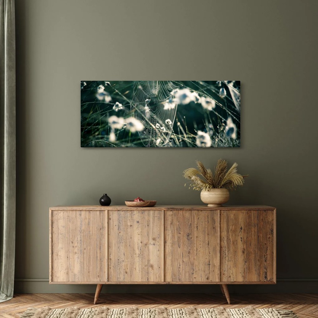 Kép - Pókháló (120x50 cm)