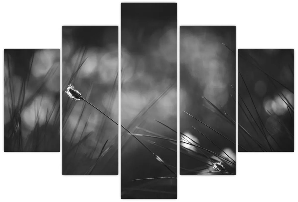 Kép - Mezei fű (150x105 cm)