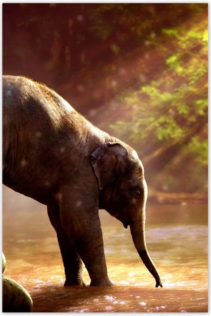 Poszterek 80x120 Anya csak egy van