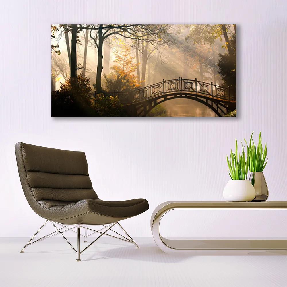 Modern üvegkép Forest Bridge architektúra 100x50 cm