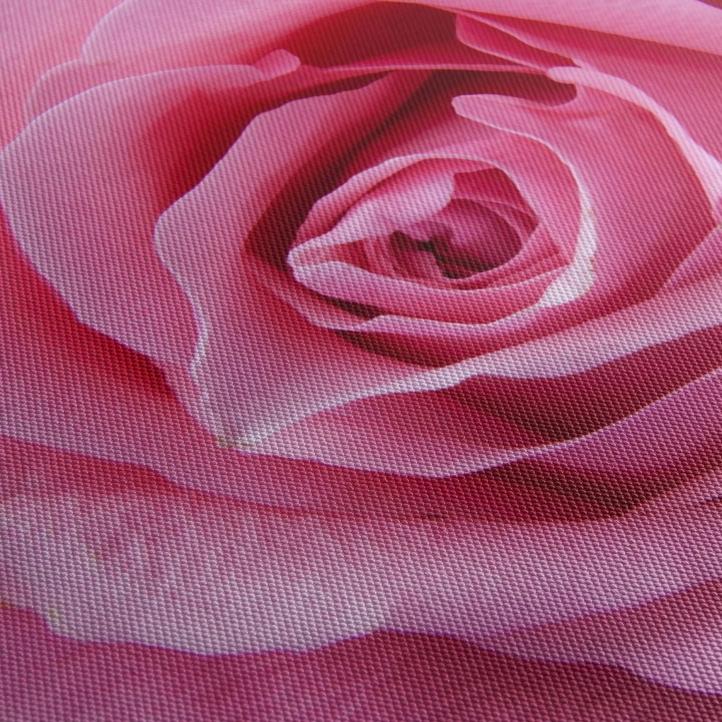Rózsa képe (120x50 cm)