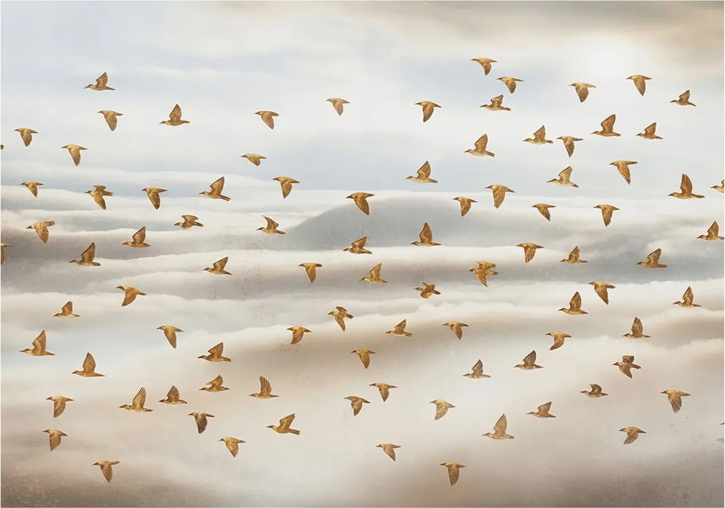 Divatos Flizelin Tapéta Ragasztóval Fali 3D Madarak Repülés 312x219 Ragasztó