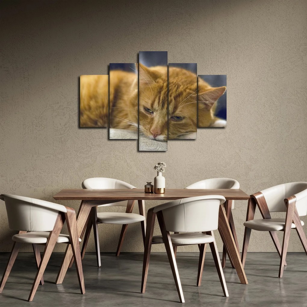 Macska képe (150x105 cm)