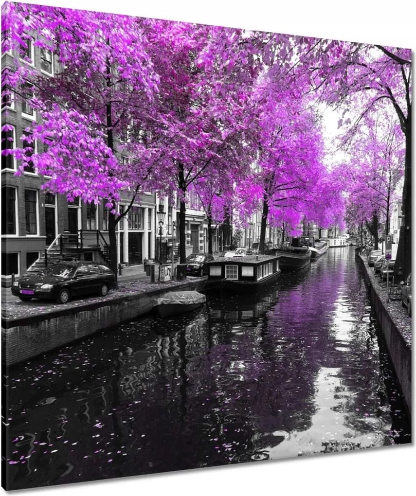 Vászonkép 80x80 Holland tájkép Folyó