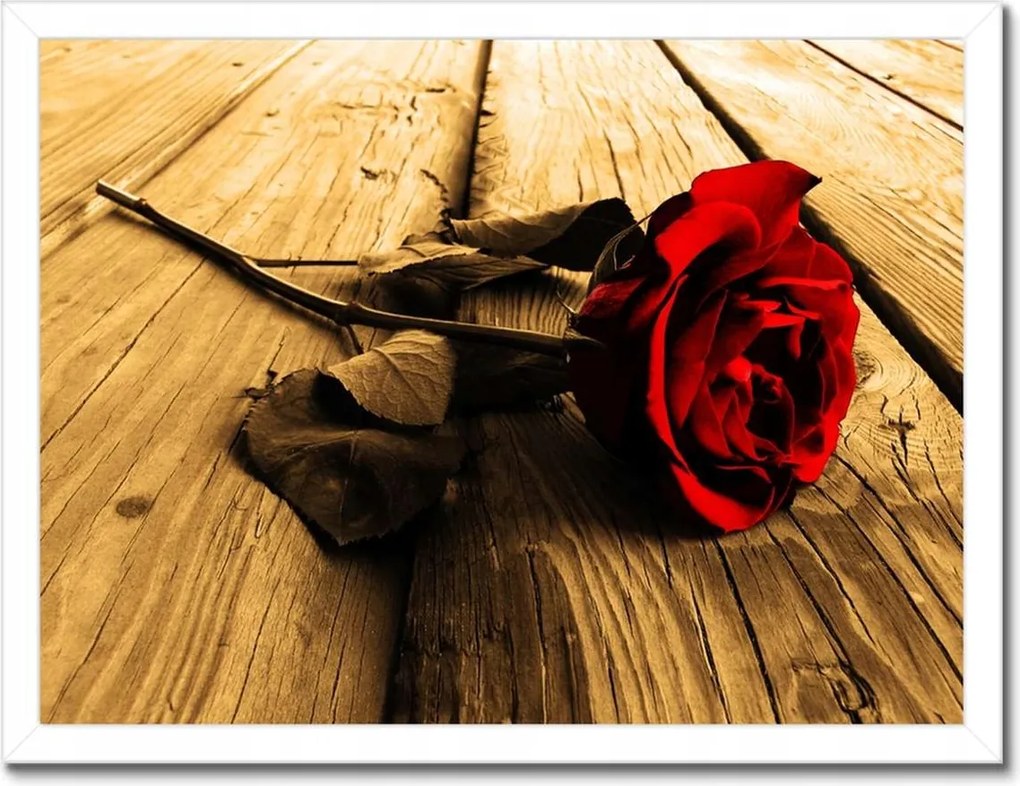 Poszterek keretben 40x30 Rózsa szépia deszkákon