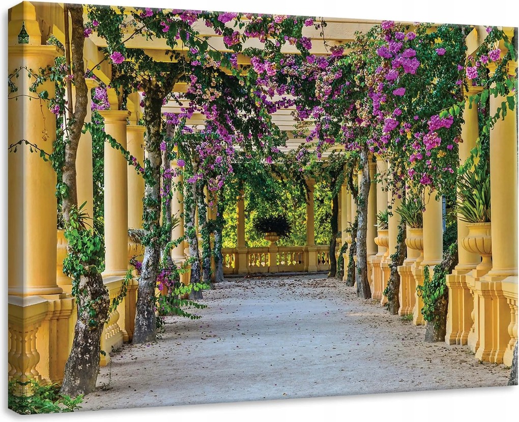 Vászonkép 70x50 Virágalagút árkád oszlop bugenwilla zöld ösvény nyugalom
