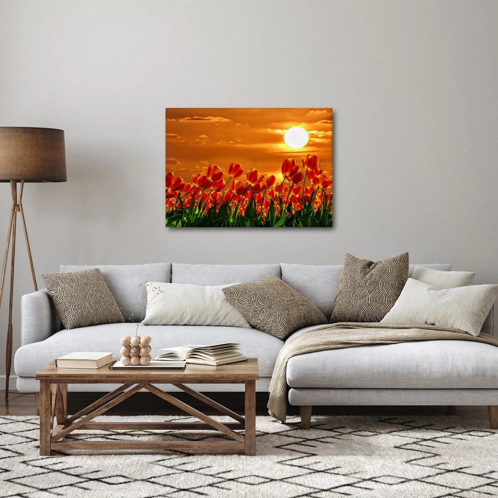 Kép egy virágzó mező tulipánokkal (70x50 cm)