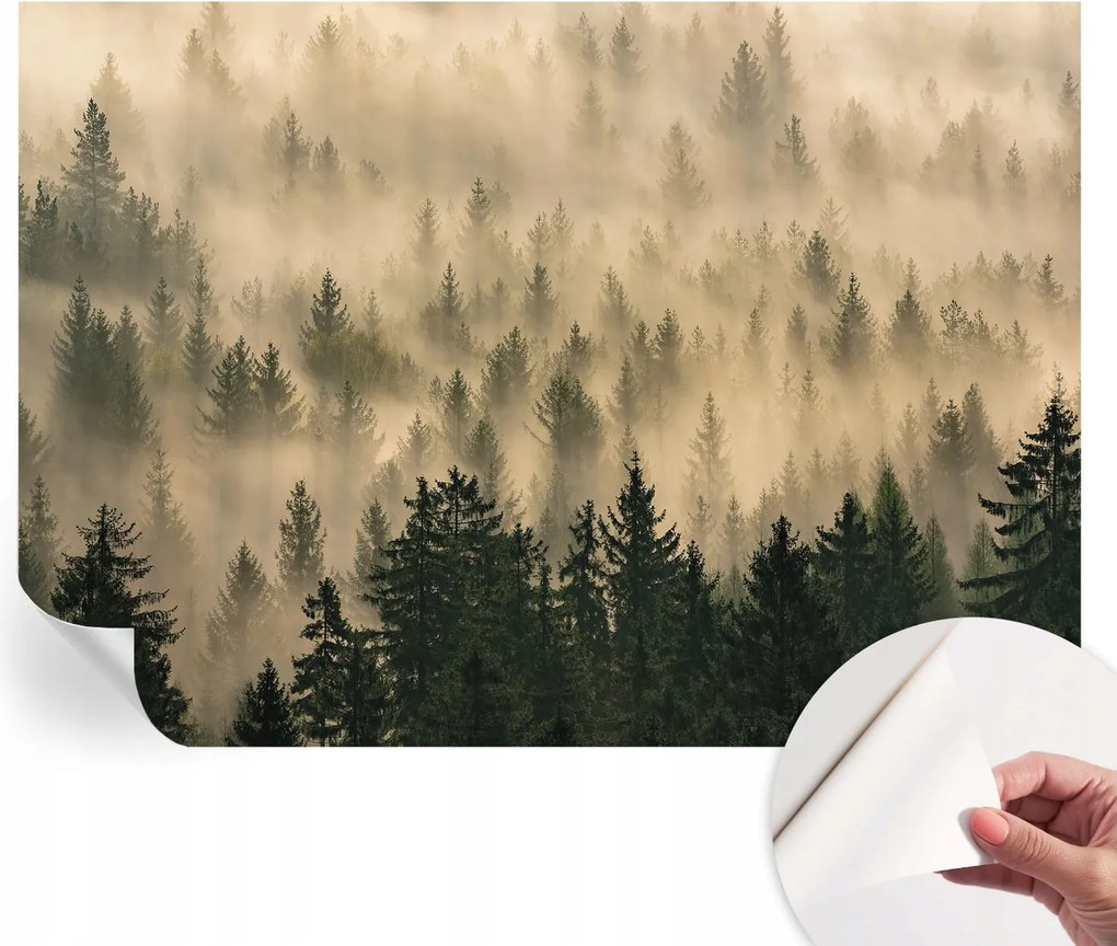Fotótapéta Dekoratív Fali Tapéta Képekkel Erdei köd 208x146