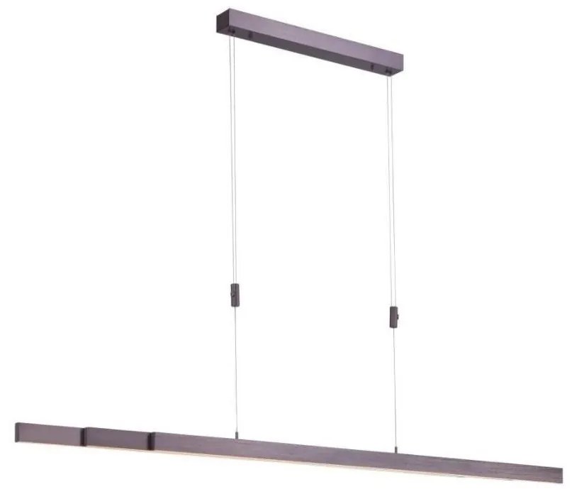 Paul Neuhaus 2568-24 - LED dimmelhető csillár zsinóron ADRIANA LED/14W/230V