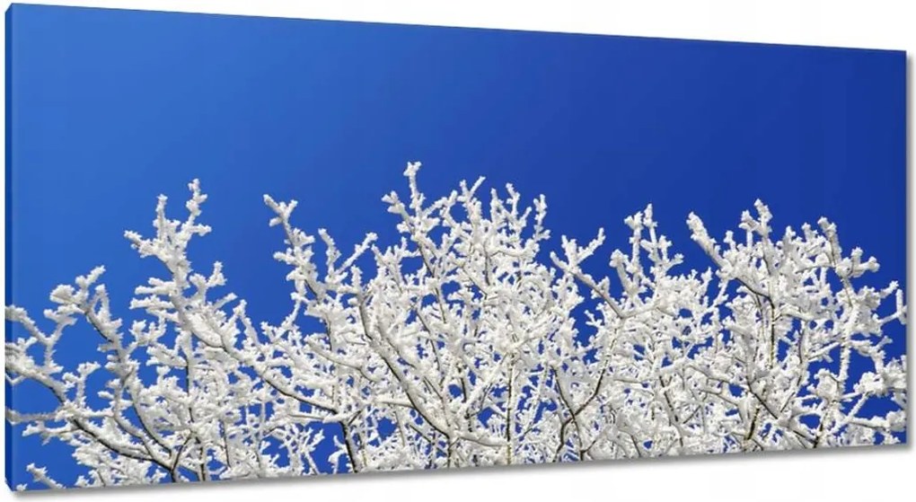 Vászonkép 115x55 Téli fa Dér Hó