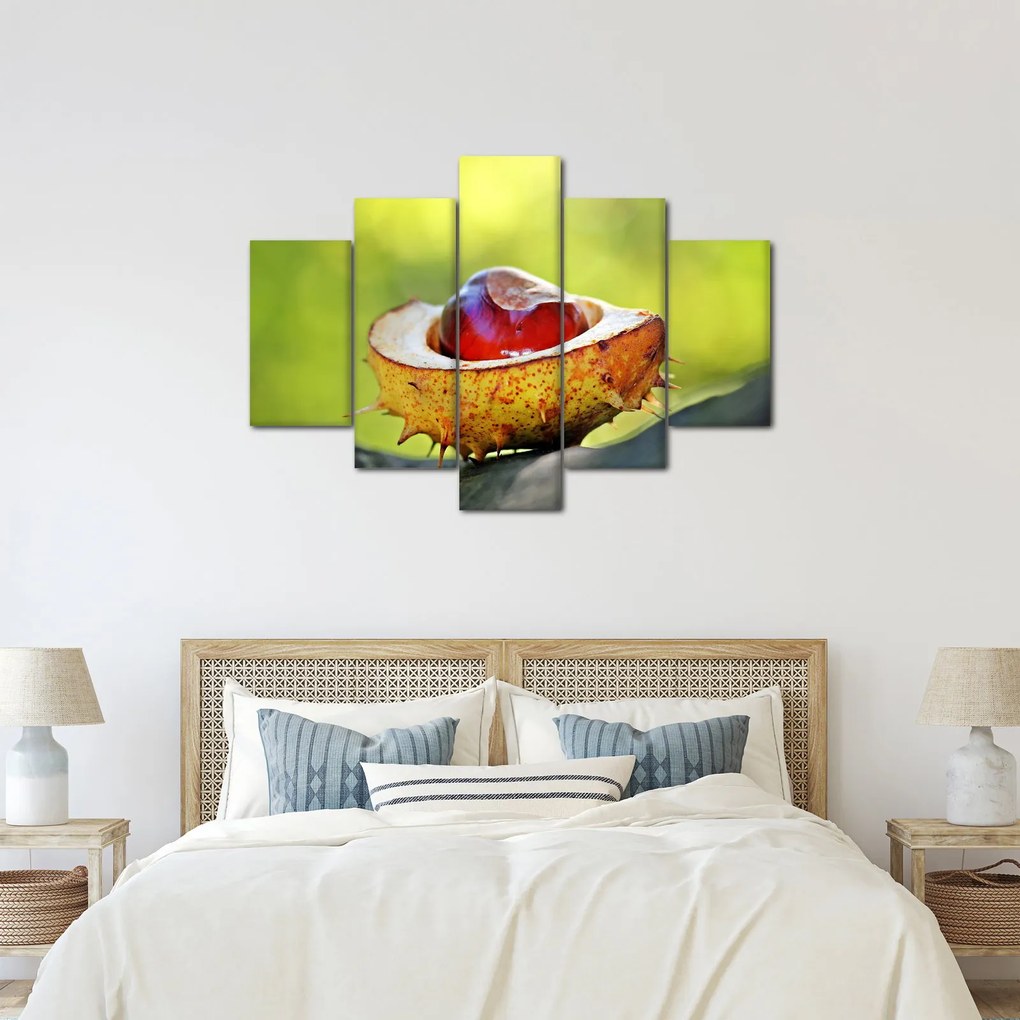 Gesztenye képe (150x105 cm)