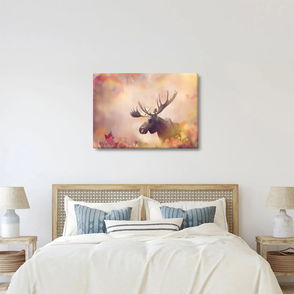 Kép - jávorszarvas az őszi levelekben (70x50 cm)