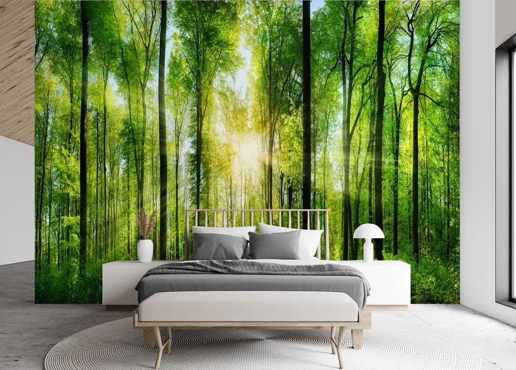 Gario Fotótapéta Napsugarak egy zöld erdőben Anyag: Vlies, Méret: 400 x 280 cm