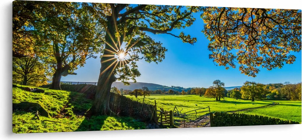 Kép - mező, kilátás (120x50 cm)