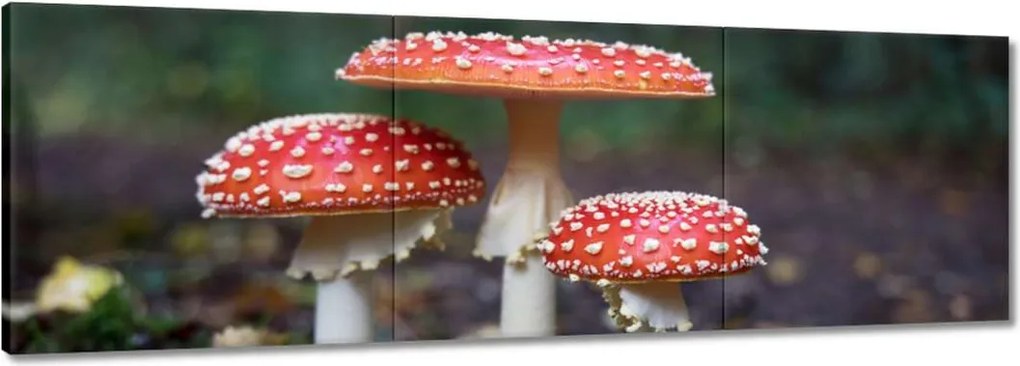 Vászonkép 90x30 Makrofotó MacroFoto