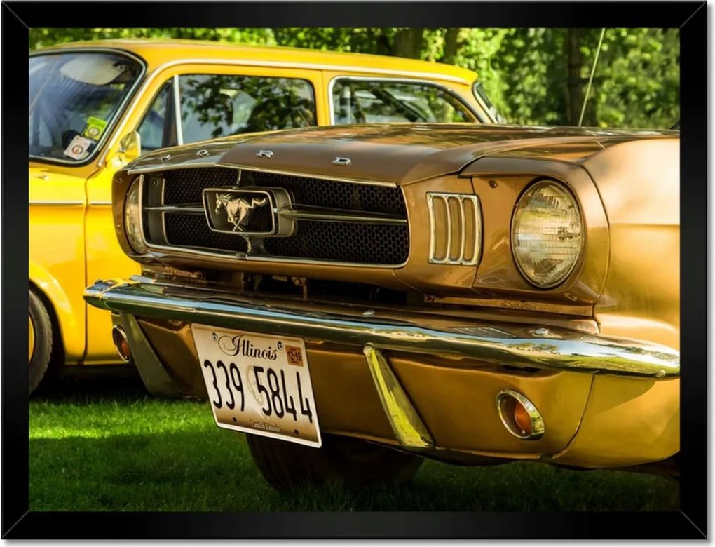 Poszterek keretben 40x30 Form Mustang made in Usa