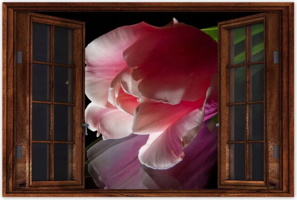 Poszter 60x40 Rózsaszín tulipán virág