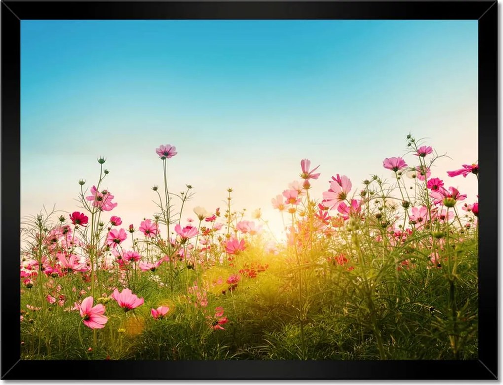 Poszterek keretben 40x30 Kozmikus virágok