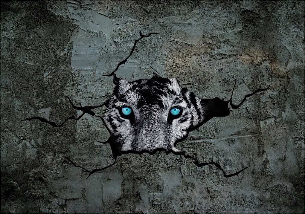 Fotótapéta Tigris a falon látványos dekorációs motívum 350x250 +ragasztó