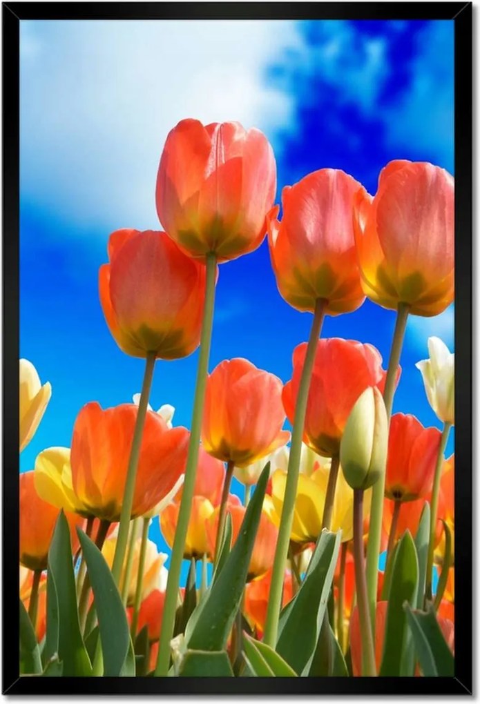 Poszterek keretben 40x60 Színes tulipánok Virágok